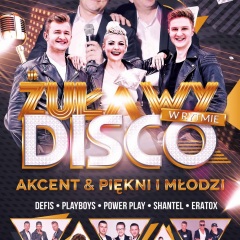Żuławy w Rytmie Disco 2019