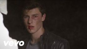 Shawn Mendes - Stitches (Official Video)