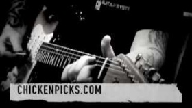 Chicken Picks