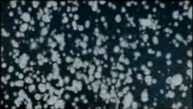 Enigma - Je T'Aime Till My Dying Day (2009)