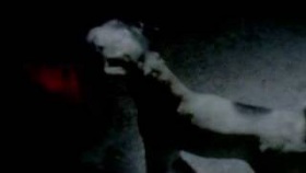 Mogwai - &quot;Friend of the Night&quot;