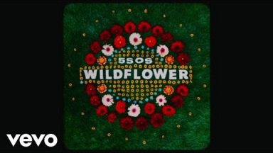 5 Seconds of Summer - Wildflower