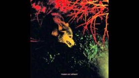 Tribes Of Neurot - The Forest That Shelters