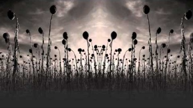Dead Can Dance - 'All In Good Time'
