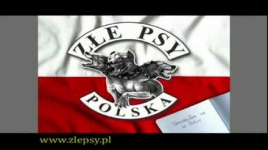 Złe Psy - Polska (Urodziłem się w Polsce)  / Artur Szpilka - Szpila /