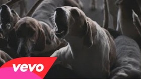 Kasabian - bumblebeee
