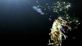 Klaxons - Golden Skans