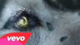 David Guetta - She Wolf (Falling To Pieces) ft. Sia