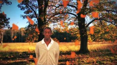 Andreas Vollenweider Airdance (VideoClip)