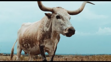 alt-J - Left Hand Free (Official Video) 1