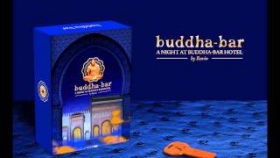 A Night @ Buddha-Bar Hotel Trailer # 4