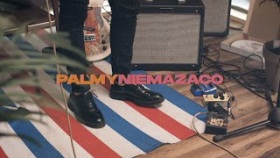 Palmy - Nie ma za co