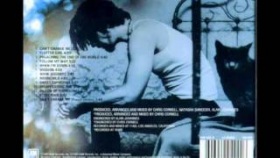 Chris Cornell - Moonchild (Euphoria Morning)