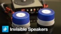 Revolution Acoustics SSP6 Multiducers