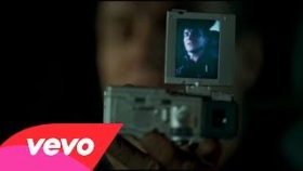 Sting - Desert Rose