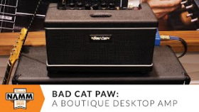 A Boutique Desktop Tube Amp: Bad Cat Paw at NAMM 2020 | Reverb
