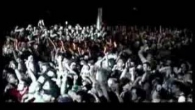 Dropkick Murphys- Wild Rover