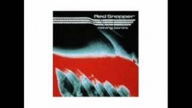 red snapper - the sleepless