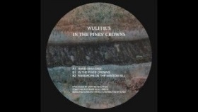 Wulffius - In The Pines' Crowns