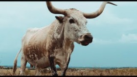 alt-J - Left Hand Free (Official Video) 1