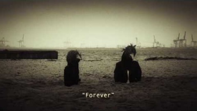 Steven Wilson &quot;Harmony Korine&quot; HD