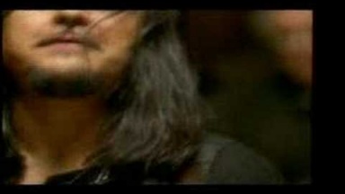 Tito &amp; Tarantula - Back to the House