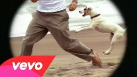blink-182 - All The Small Things